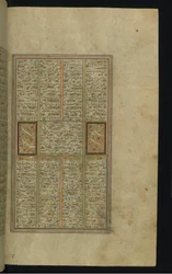 Página de texto